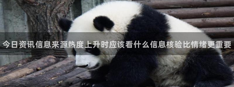 热门网络资讯