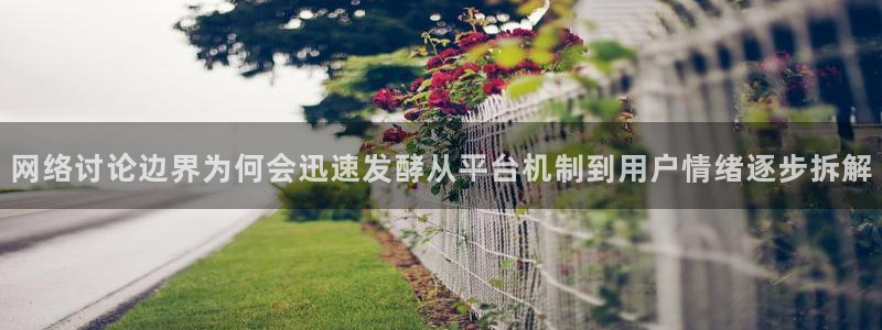 热门网络资讯