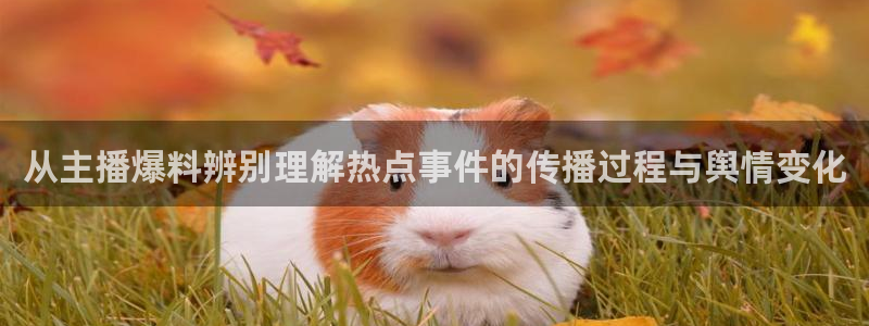 黑料爆料热点大全