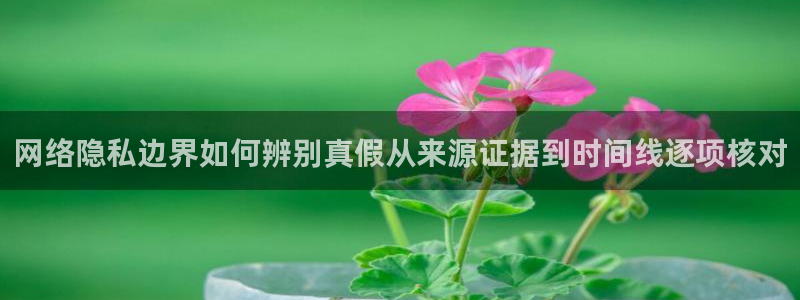 每日网络热点