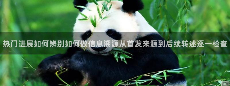 黑料爆料网页导航:热门进展如何辨别如何做信息溯源从首发来源到后续转述逐一检查