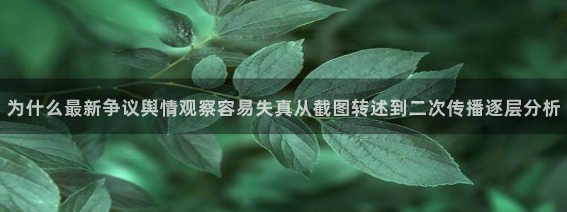 黑料爆料页面入口:为什么最新争议舆情观察容易失真从截图转述到二次传播逐层分析