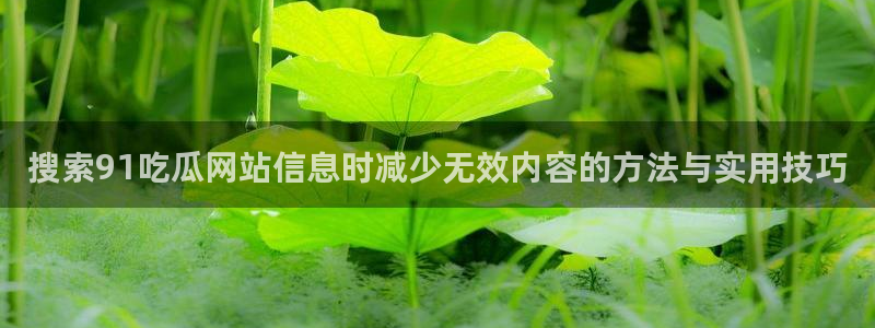 黑料爆料热门信息：搜索91吃瓜网站信息时减少无效内容的方法与实用技巧