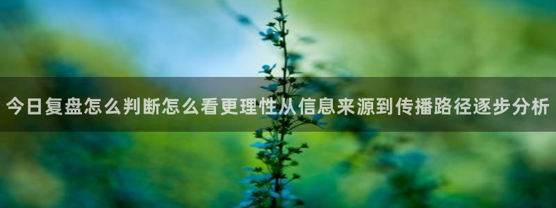 黑料资讯:今日复盘怎么判断怎么看更理性从信息来源到传播路径逐步分析
