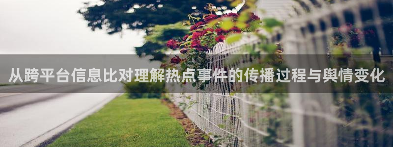 黑料爆料热门信息:从跨平台信息比对理解热点事件的传播过程与舆情变化