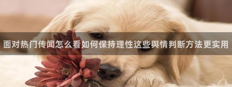网络热点事件